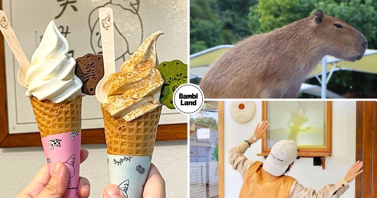 【Yilan】BAMBI LAND in Matcha Season! The Brand New ‘Animal Pool’ Offers a View of capybara Swimming. The ‘Shadow Monster’ Interactive Immersive Experience is a Must-Play for Families!
