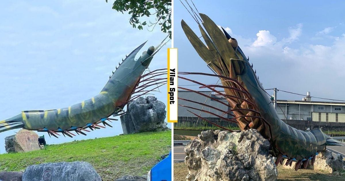 【Yilan】 Most ‘Shrimply’ Amazing Attraction! A Giant Grass Shrimp Spotted in Jiaoxi Weighing a Whopping 3 Tons !