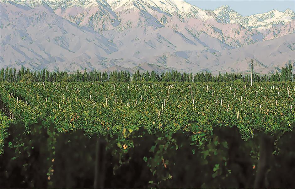 One of nature’s rarest colors produces extravagant wine