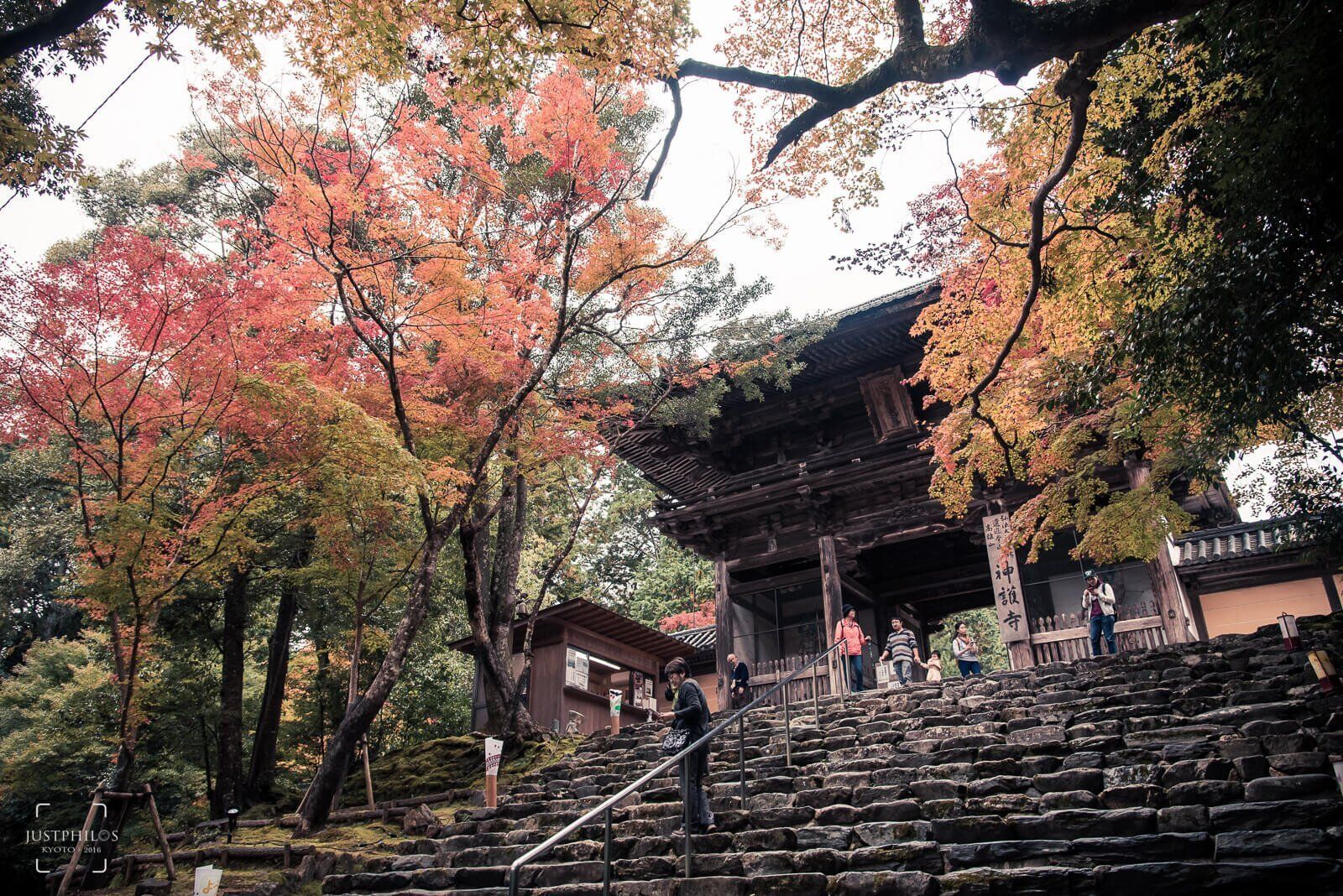 [Japan] Kyoto Maple Viewing | Jingoji Temple / Nishimyoji Temple / Takayama Temple in Kaohsiung Sanwei